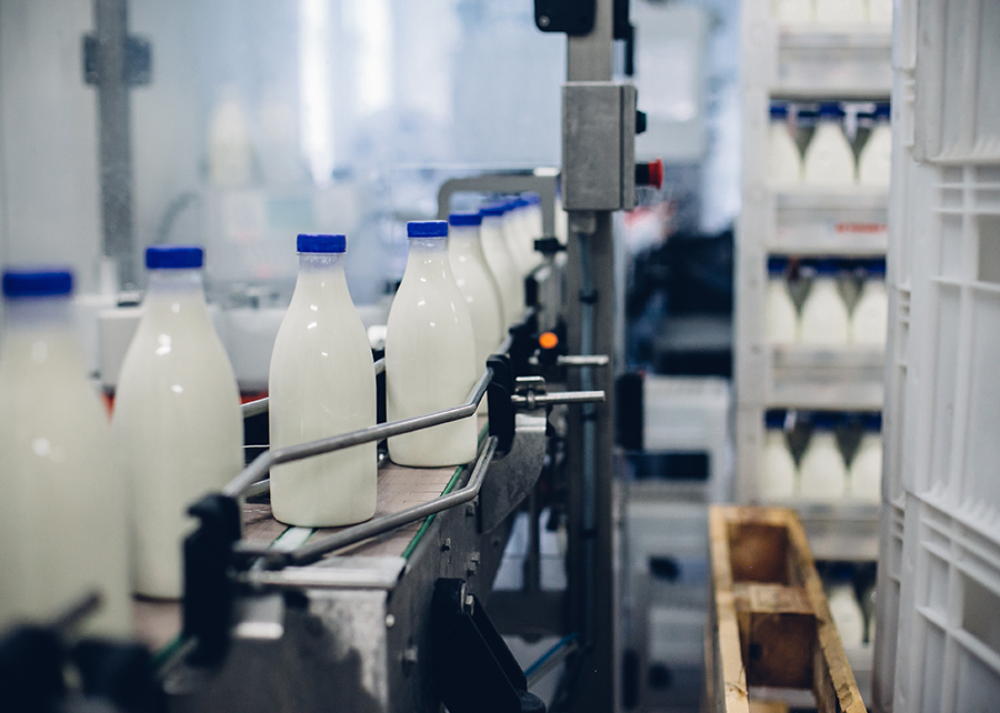 Em meio a incertezas mercado lácteo espera recuperação em boiapasto com br