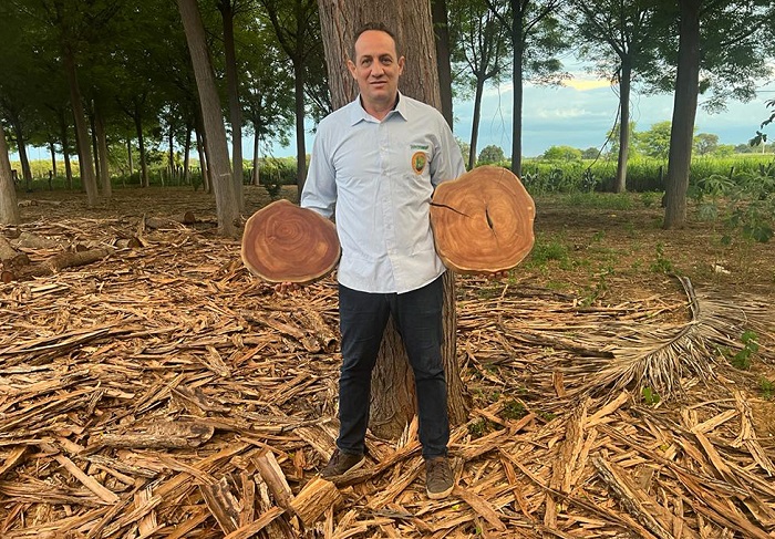 Dinheiro dá em árvores, garante lucro verde e futuro sustentável