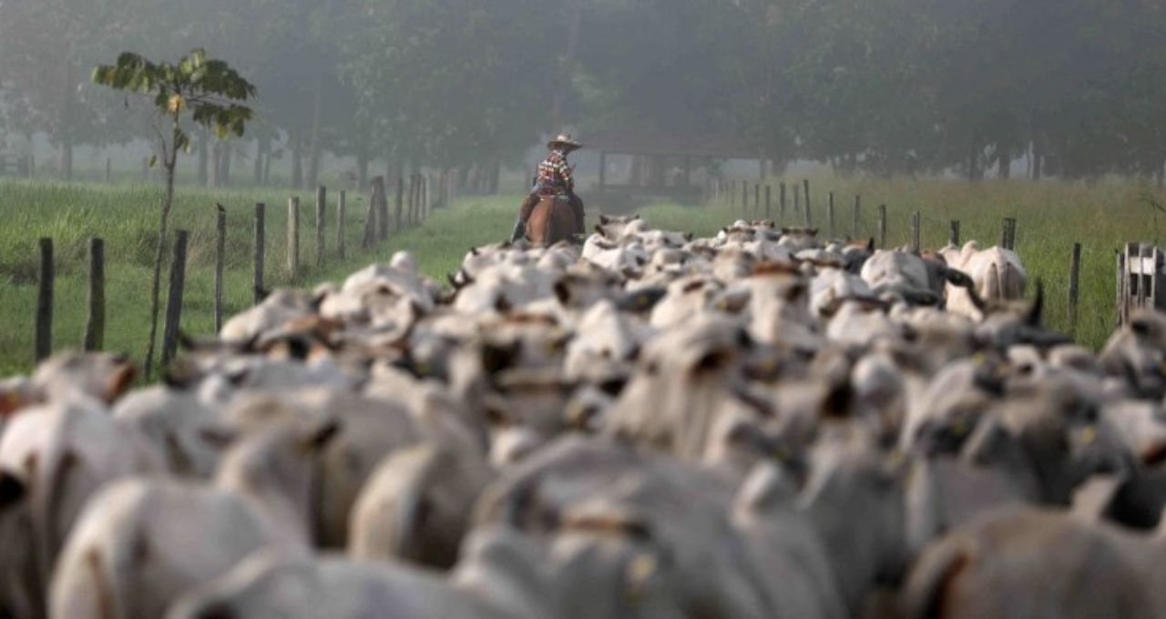 Restrições da União Europeia à carne brasileira devem ser resolvidas em breve, diz Mauro Vieira