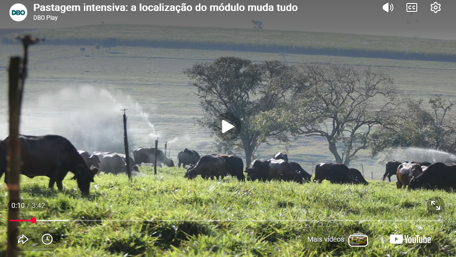 Pastagem intensiva: a localização do módulo muda tudo