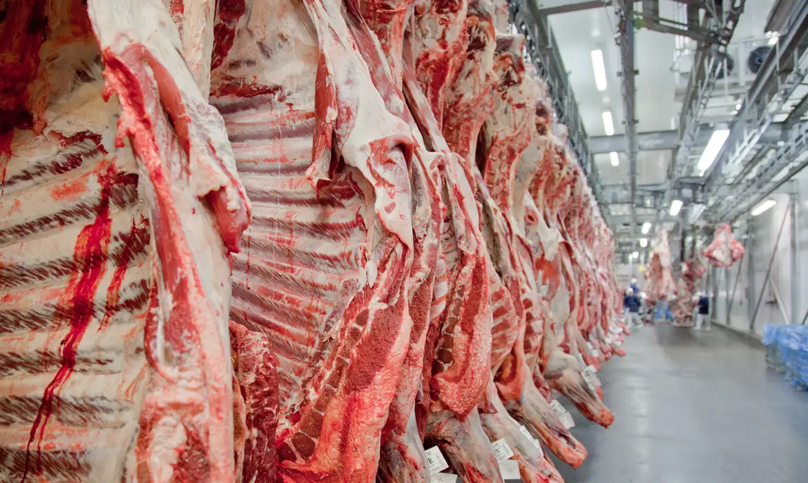 Suspensão das vendas à UE pode tirar mais de US$ 100 milhões da carne bovina brasileira