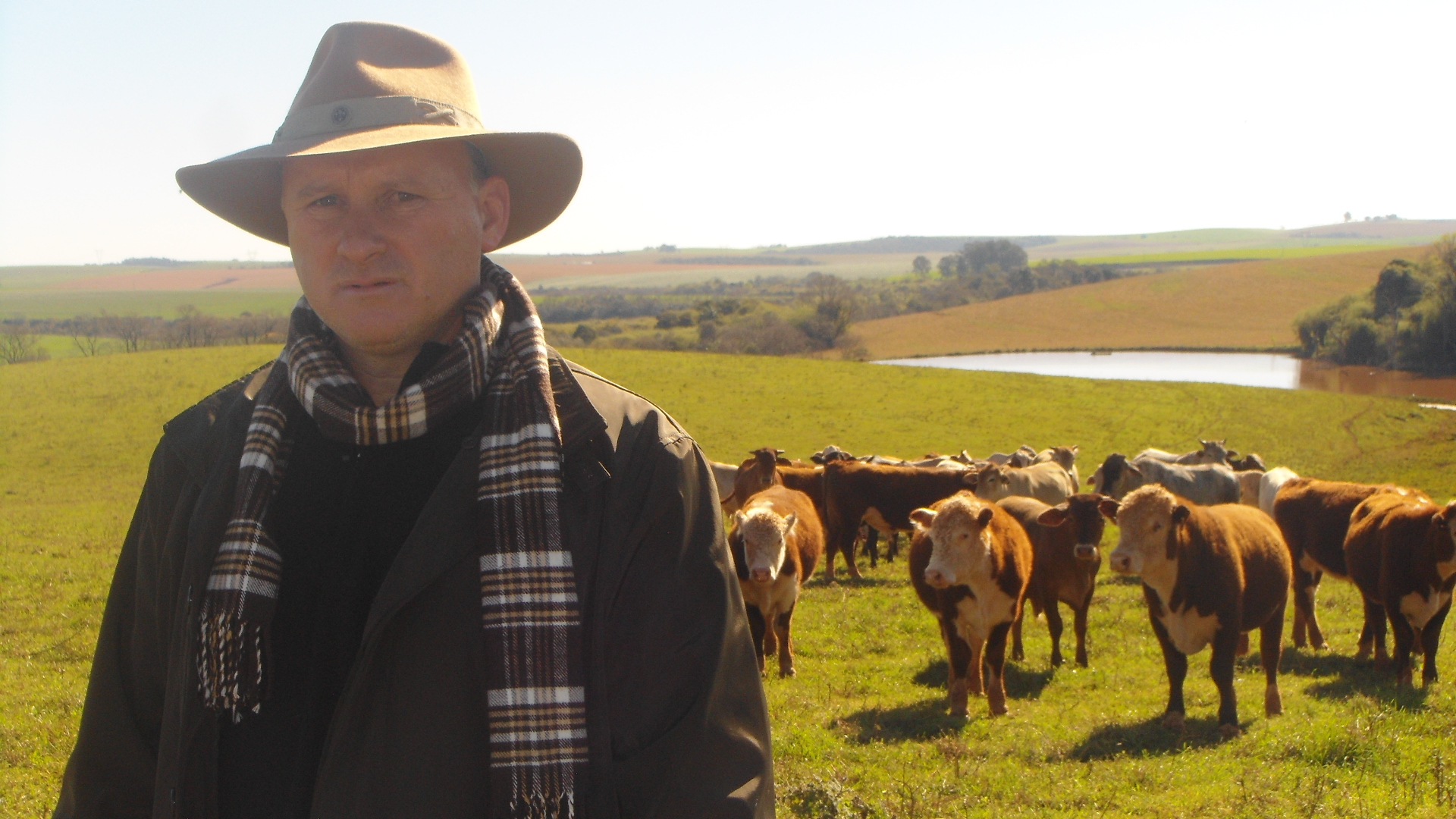 ILPF garante maior produtividade e sustentabilidade no campo